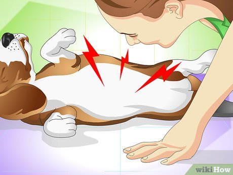 How to cure a belly ache